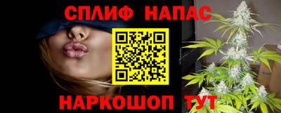 стаф Владикавказ