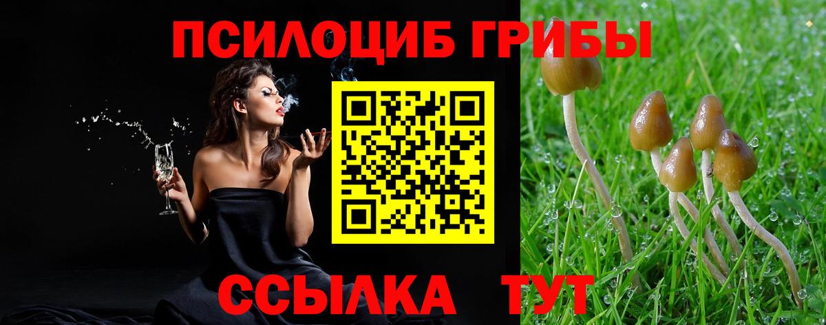 Белореченск  цены   Вход с VPN  Псилоцибиновые грибы ЛСД 